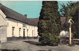 BELGIQUE - RUIEN - Mont De L'Enclus - Edit J Deportere Provost  - Carte Postale Ancienne - Andere & Zonder Classificatie