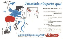 J2707 - BUVARD - L'Aliment Du Muscle C'est Le SUCRE - J'Escalade N'importe Quoi - Sucreries & Gâteaux