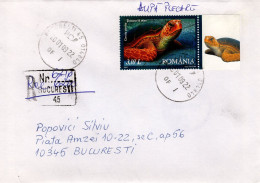 ROMANIA 2009: SEA TURTLE On Circulated Cover - Registered Shipping! - Covers & Documents