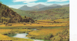 Snowden & River Lledr - North Wales   - Unused Postcard - UK8 - Other & Unclassified