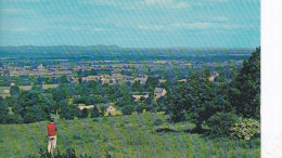 Bishops Cleeve Nr Cheltenham, Gloucestershire  - Unused Postcard - UK8 - Cheltenham