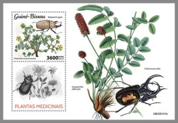 GUINEA BISSAU 2023 MNH Medical Plants Heilpflanzen Plantes Medicinales S/S - OFFICIAL ISSUE - DHQ2330 - Heilpflanzen