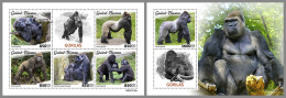 GUINEA BISSAU 2023 MNH Gorillas Gorilles M/S+S/S - IMPERFORATED - DHQ2330 - Gorilas