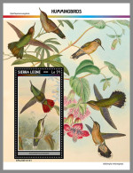 SIERRA LEONE 2023 MNH Hummingbirds Kolibris Colibris S/S I - OFFICIAL ISSUE - DHQ2330 - Segler & Kolibris