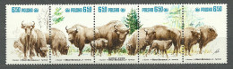 Aj Poland, 1981 (pk2757-61a),  Nature Protection,  The European Bison, Forest - Strip Of 5v - Vaches