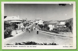 Oliveira De Frades - Avenida Dr. Lino Dos Santos. Viseu. Portugal (Fotográfico) - Viseu