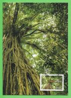 Australien 2015 , Trees - Green Fig - Maximum Card - First Day Of Issue 17. March 2015 - Maximum Cards