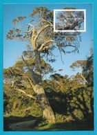 Australien 2015 , Trees - Moonah - Maximum Card - First Day Of Issue 17. March 2015 - Maximumkarten (MC)