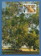 Australien 2015 , Trees - Lemon-scented Gum - Maximum Card - First Day Of Issue  17. March 2015 - Maximum Cards