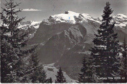 SUISSE - ENGELBERG Titlis - Carte Postale Ancienne - Engelberg