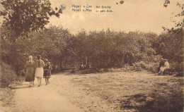 BELGIQUE - HEIST SUR MER - Le Petit Bois - Carte Postale Ancienne - Heist