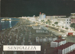 W6505 Senigallia (Ancona) - Il Lungomare - Panorama Notturno Notte Nuit Night Nacht Noche / Viaggiata 1966 - Senigallia