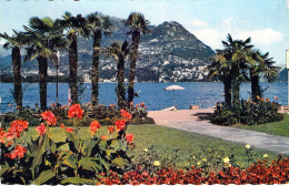 SUISSE - LUGANO - Il Monte Bré Visto Da Paradiso - Carte Postale Ancienne - Lugano