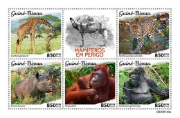 Guinea Bissau 2023, Animals In Danger, Giraffe, Gorillas, , 5val In BF - Jirafas