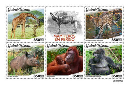 Guinea Bissau 2023, Animals In Danger, Giraffe, Gorillas, Rhino, 5val In BF - Rinocerontes