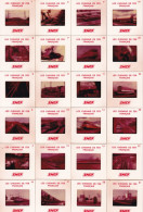 Un Lot De 36 Diapositives De La SNCF  1975 Toutes Scannées Avec Explications  Locomotives  Trains Gare Ect  Avec Carte - Diapositives