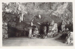 ITALIE - Le Nuove Meraviglie Di Postumia - La Grande Sala Nella Grotta Nera - Carte Postale Ancienne - Other & Unclassified