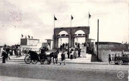 BELGIQUE - OSTENDE - Entrée De L'Hippodrome Wellington - Carte Postale Ancienne - Oostende