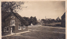 AK Dorfplatz In Norddorf Auf Amrum - Ca. 1940 (64961) - Nordfriesland