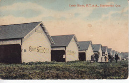 Carte Postal (123287) Cattle Sheds E.T.A.A. Sherbrooke Que Sans Timbre Avec écriture - Sherbrooke