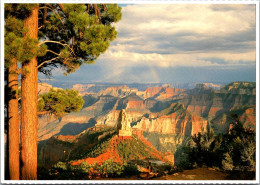 Arizona Grand Canyon North Rim Point Imperial - Gran Cañon