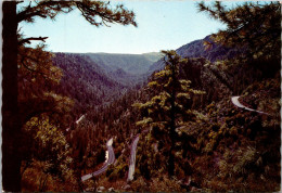 Arizona Oak Creek Canyon Switchback Road - Sonstige & Ohne Zuordnung