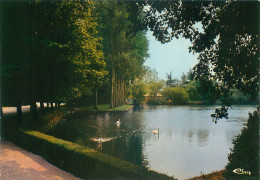 Moisdon De Meilleraye - Abbaye Cistercienne De Meilleraye     O 1114 - Moisdon La Riviere