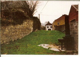 CP De MODAVE / STREE " Fontaine St Geneviève " - Modave