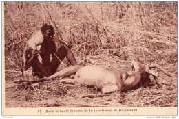 DANS LA BROUSSE DE LA SUBDIVISION DE BAÏBOKOUM - Chad