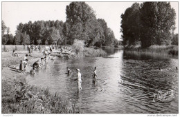 DORDIVES - LA BAIGNADE SUR LES BORDS DU LOING - SUPERBE CARTE PHOTO ANIMÉ - Dordives