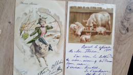 2 Cartes Illustrée Thême Cochon , Dont Une Geiger - Animales Vestidos