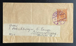 Österreich 1899 Ganzsache Streifband Mi. S 6 Gestempelt/o Wien - Bandas Para Periódicos