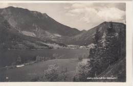 D2280) LUNZERSEE Mit Scheiblingstein -- LUNZ Am SEE - - Sehr Alte AK 1928 - Lunz Am See