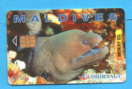 MALDIVES Chip Phonecard - Maldives