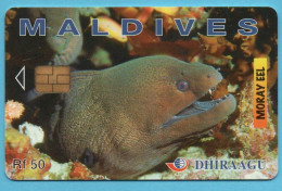 MALDIVES Chip Phonecard - Maldives