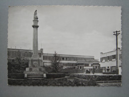 Frameries - Monument Aux Morts Déportés - Ecole Communale - Frameries