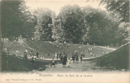 BELGIQUE - Bruxelles - Le Bois De La Cambre, Le Grand Ravin - Animé - Carte Postale Ancienne - Bruselas (Ciudad)