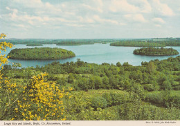 Irland - Roscommon  -  Lough Key And Islands, Boyle - Roscommon