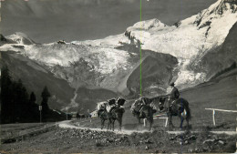 Switzerland Saas-Fee Allalinhorn Alphubel - Saas Im Prättigau