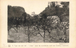 BELGIQUE - Type Van Een Dal : "cluse" Door De Noordelijke Rand Van Condroz (Samson) - Carte Postale Ancienne - Andere & Zonder Classificatie