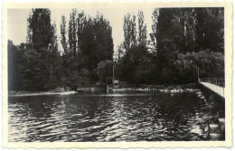 CPA MESSERY - Bord Du Lac - La Pointe - Animée - Barque - Ed. Combier - Messery