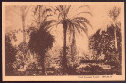 EGYPTE ISMAILIA CANAL COMPANY GARDEN - Ismaïlia