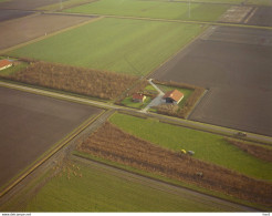 Flevoland, Swifterbant, Boerderij, Luchtfoto LF509 - Other & Unclassified