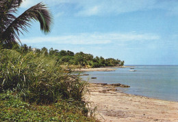 MAYOTTE / LE LAGON A PAMANDZI - Mayotte