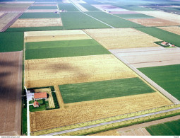 Flevoland Luchtfoto LF46 - Otros & Sin Clasificación