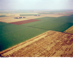 Flevoland Luchtfoto LF52 - Altri & Non Classificati