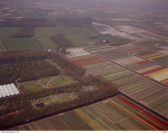 Lisse Bollenvelden Luchtfoto LF95 - Lisse