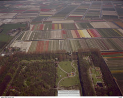 Lisse Bollenvelden Luchtfoto LF98 - Lisse