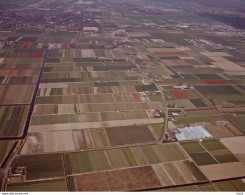 Lisse, Bloembollenvelden, Luchtfoto LF422 - Lisse