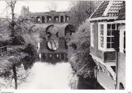 Zutphen Berkelruïne En Leeuwenhuisje WP1142 - Zutphen